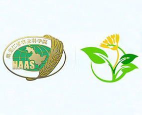 �������r�ƷʘI(y��)����؟�ι�˾