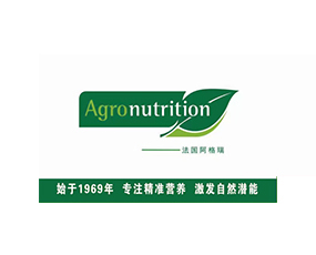 ����������ֲ��I�B(y��ng)��˾���ϴ���̎