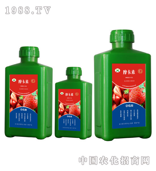 ��ݮ���ð���������Һ�ķ�-Ħ����-��о���H