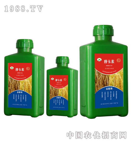 ���Z���ð���������Һ�ķ�-Ħ����-��(qi��ng)о��(gu��)�H