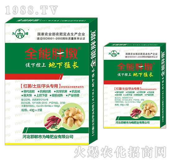 �t�������������^����-ȫ���ֶ�-���