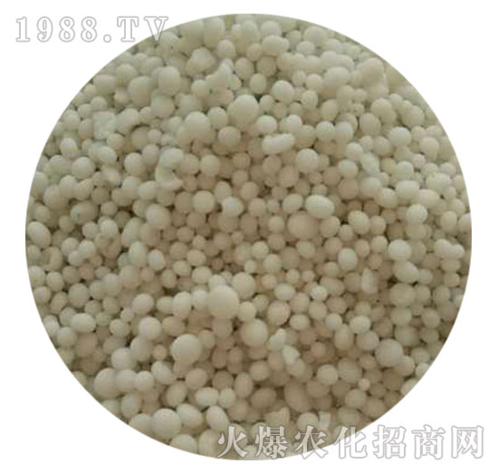 ������⛏ͺϷ���25-10-10-���������w����-ֲ������