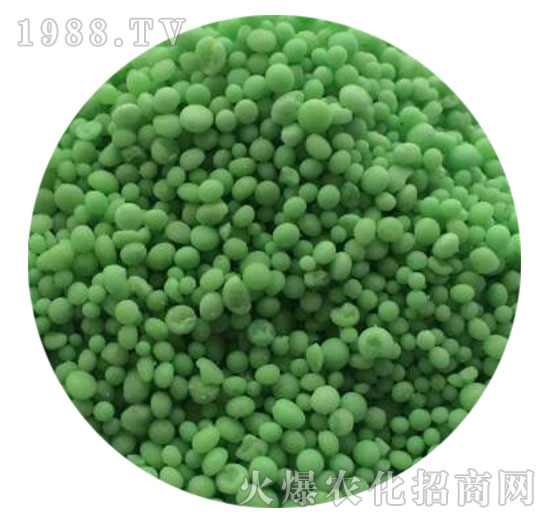 �����B(t��i)���ͺϷ���20-20-20-���������w����-ֲ������