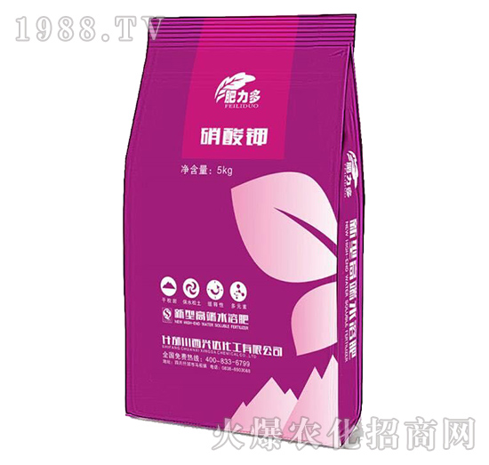 �����-������-�d�_����