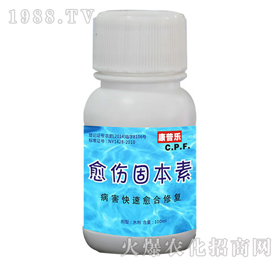 �����̱���-�r�_����