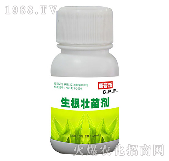 �������焩-�r(n��ng)�_����