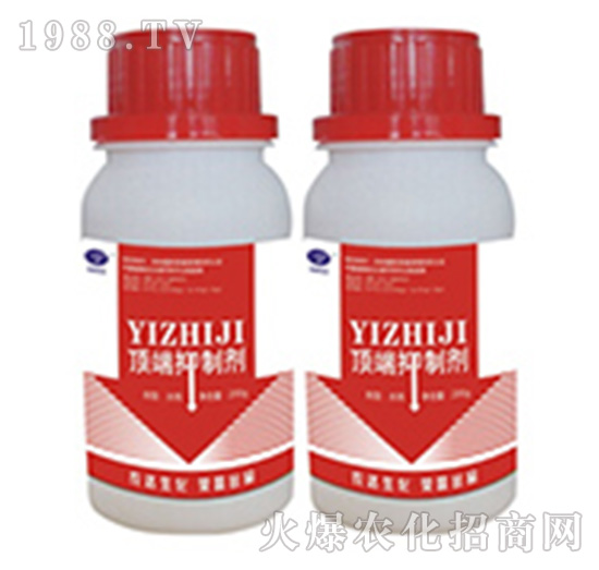 픶����Ƅ�-�r(n��ng)�_����