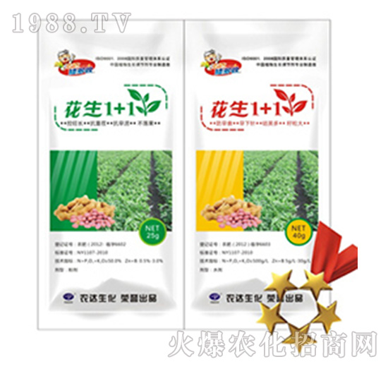 ����1+1-�r(n��ng)�_����