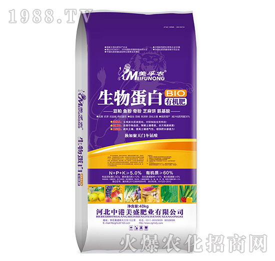 ���ﵰ���ЙC��