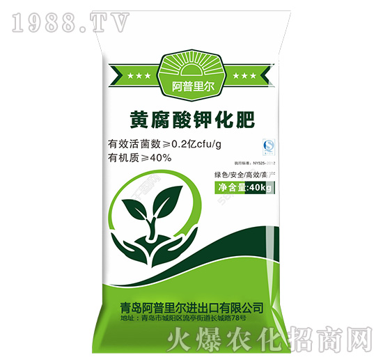 �S����⛻���-�����