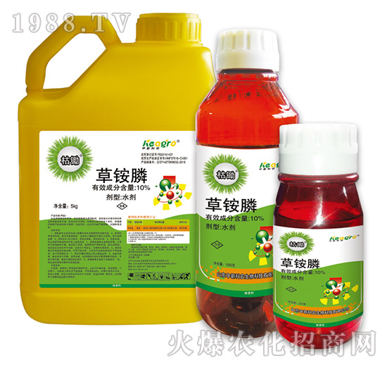 10%���@�-���z-���¿��r