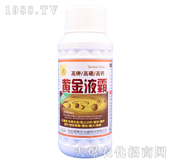 ��⛸�����}-�S��Һ��-���ʘI(y��)