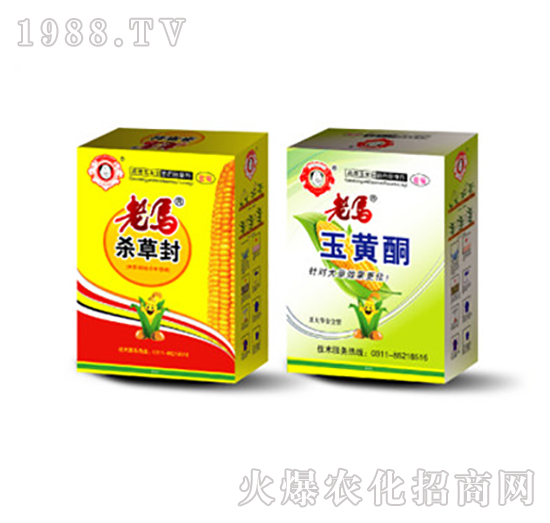 ���R�s�ݷ�+���R���Sͪ-�����r�I(y��)