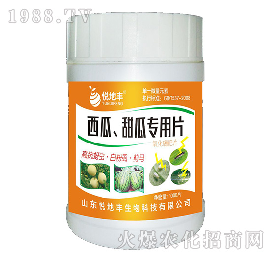 ��������ό���Ƭ��һ��һƬ��-�����S