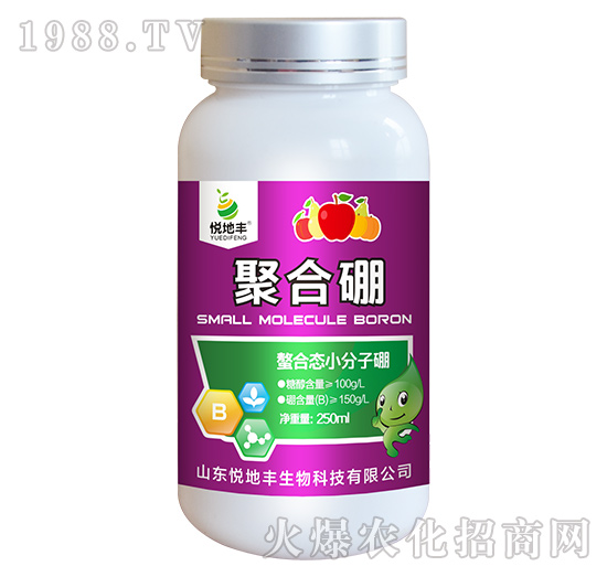 ���ϑB(t��i)С������-�ۺ���-�����S