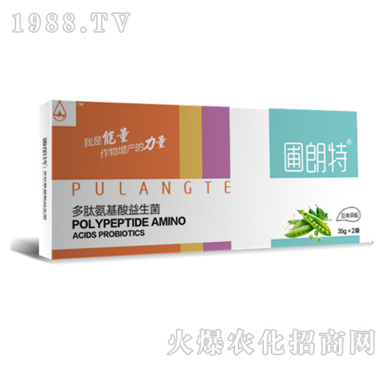 ���(l��i)����-���İ�����������-������