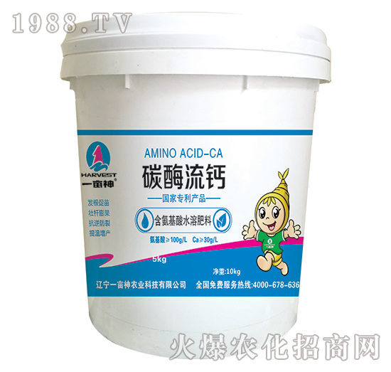 ̼ø���}-һ����