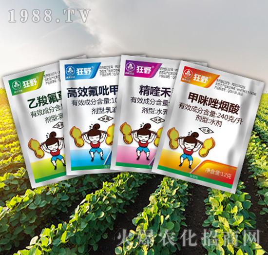 ��Ұ�M��-�к����_(d��)