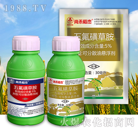 5%����ǲݰ�-�к̵���-�к����_