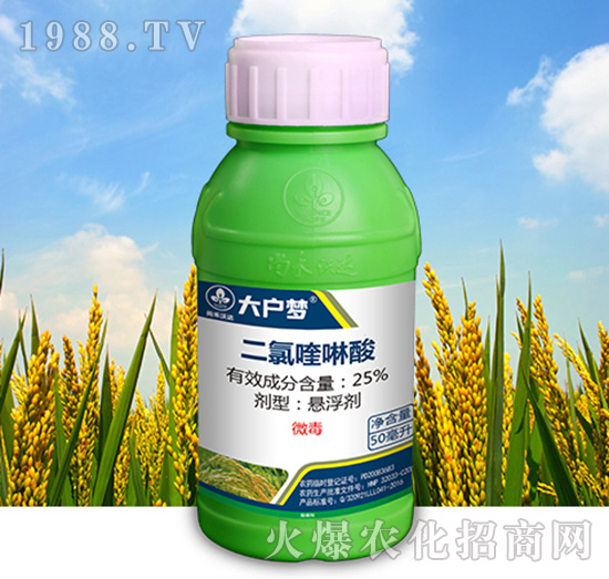 25%���������-����(m��ng)-�к����_(d��)