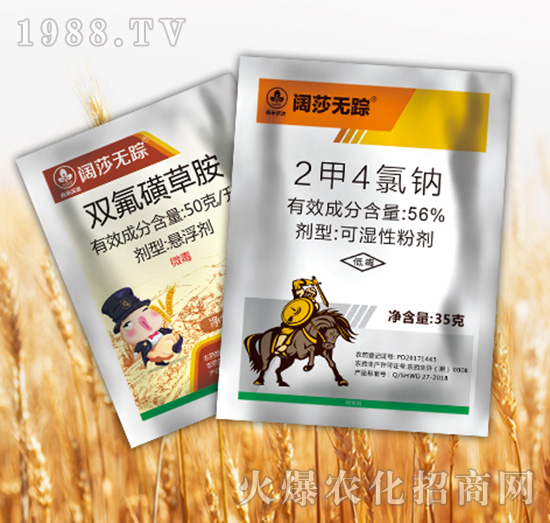 �ɯ�oۙ�M��-�к����_