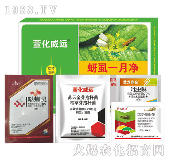 ��ʭһ��-�滯���h