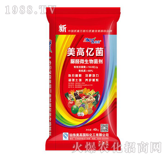 ΢�������-���߃|��-����