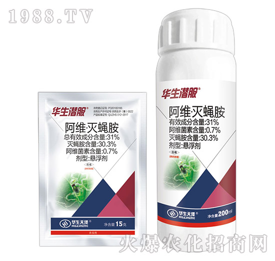 31%���S����ω��-�A������-�A������