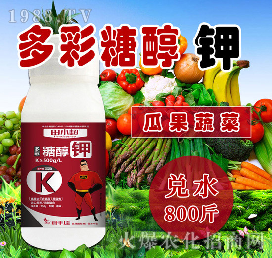 ����Ǵ��-��С��