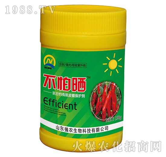 �������ЙCƤĤ���o��-����-���r(n��ng)����