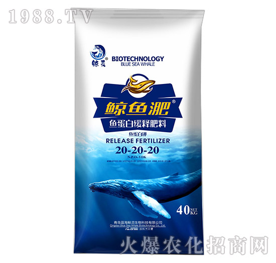 �~���׾�ጷ���20-20-20-�L�~��-����