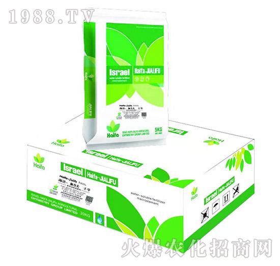 �����������̖(h��o)-�����