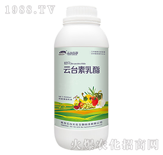 ���_������������Һ-���_��