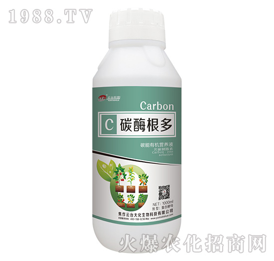 ̼ø����-���_��