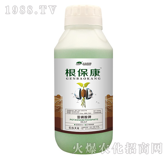 1000g������-���_��