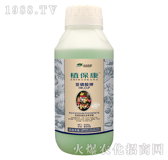 1000gֲ����-���_��