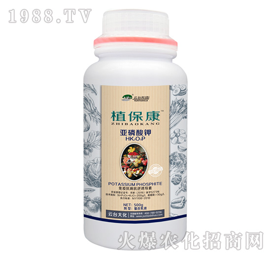 500gֲ����-���_(t��i)��