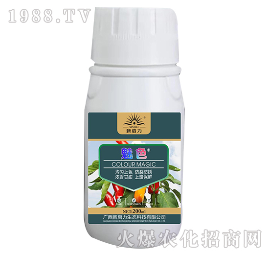 ��ɫ-����