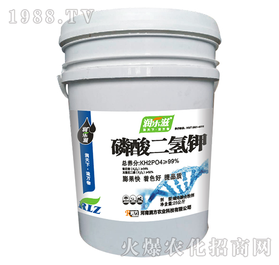 ��������-��(r��n)��(l��)�̣�25���-���L(zh��ng)��