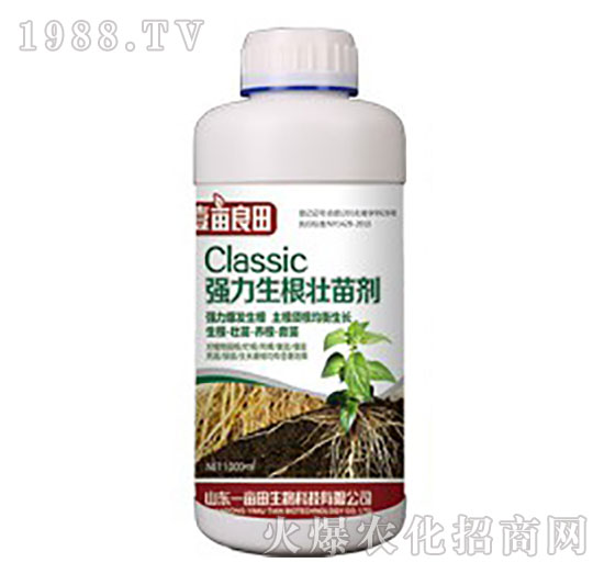 ��(qi��ng)���������焩-Ҽ������