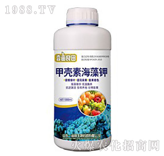 �ך��غ����-Ҽ������