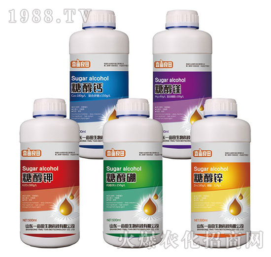 �Ǵ�ϵ���~��ʣ�500g��-Ҽ������