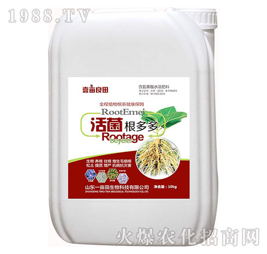 �������ࣨ10kg��-Ҽ������