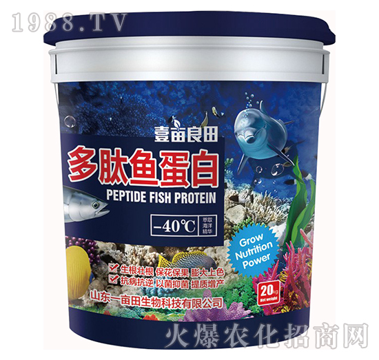 �����~����-Ҽ������