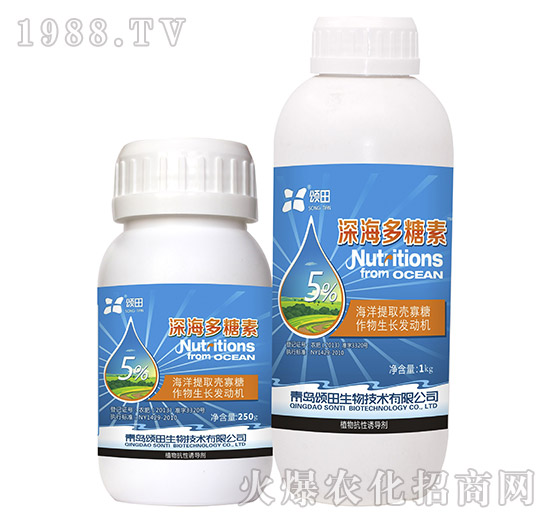 �������-�������