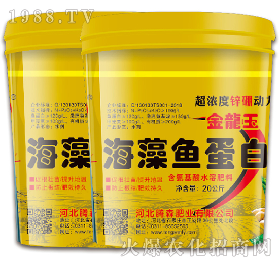 �����~(y��)����-���vɭ-�vɭ�ʘI(y��)