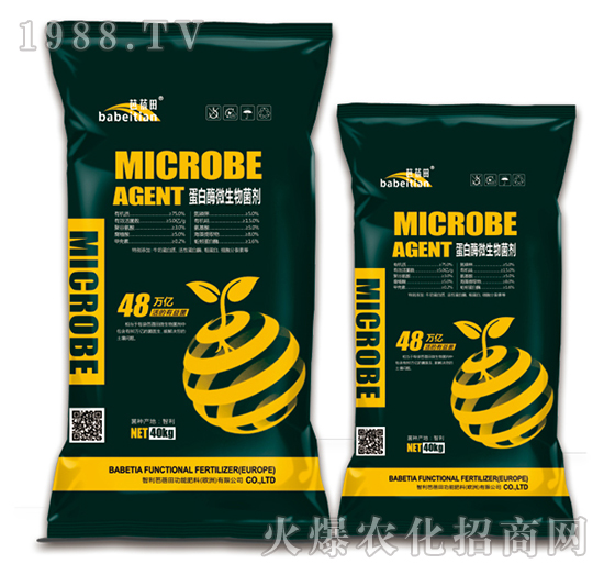 ����ø΢�������-������-�vɭ�ʘI(y��)