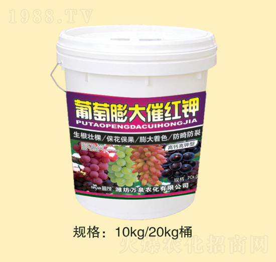 �������߼t�-�f(w��n)Ȫ�r(n��ng)��