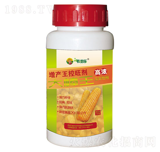 ���a(ch��n)��������-�����-�r�̘�