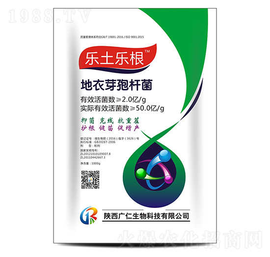 ����ѿ�ߗU��-��������-�V������